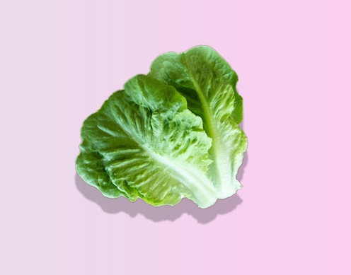 Lettuce, Deli Gem Leaf (8/1# pack)